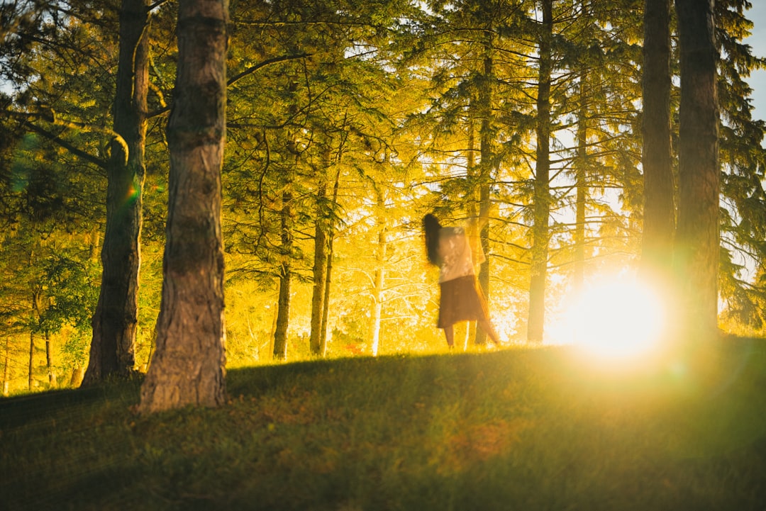 a person standing on a hill in the woods
