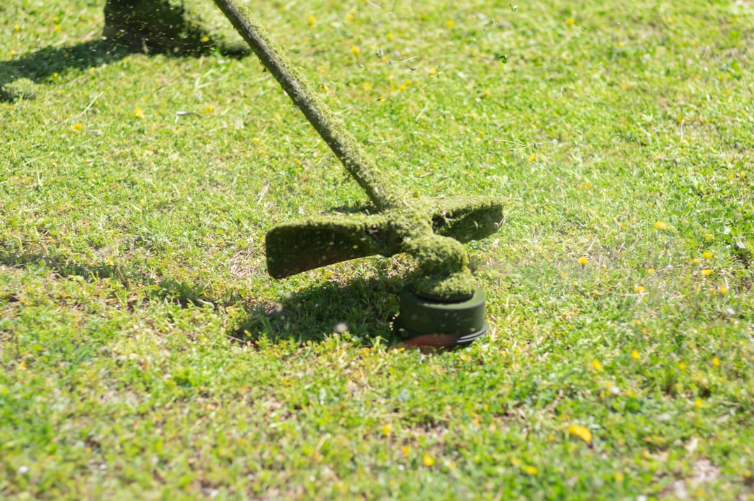 a pipe in the grass
