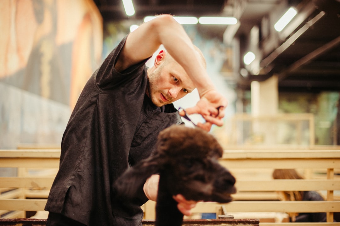 man cutting hair of goat